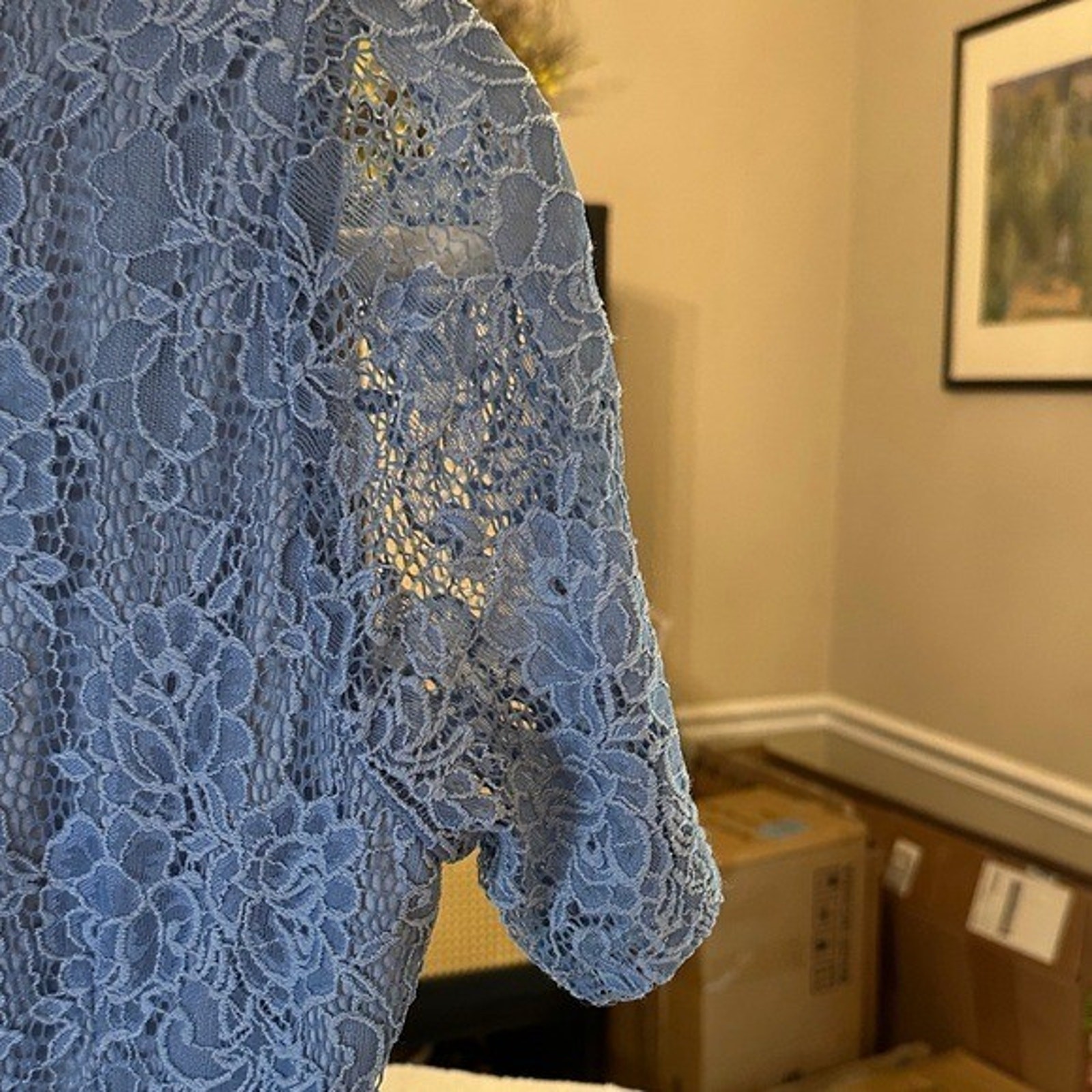 Single Blue Lace Mini Dress