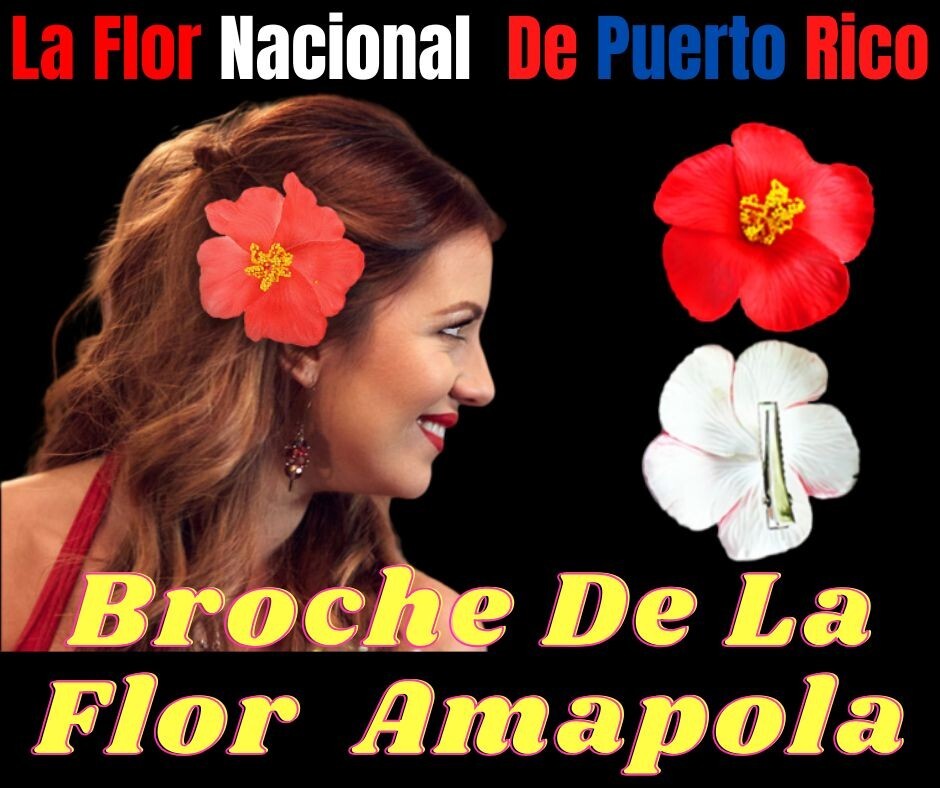 Puerto Rican Flag Skirt Set & Star Belt 3PC Traje Típico Jíbara Boricua Outfit