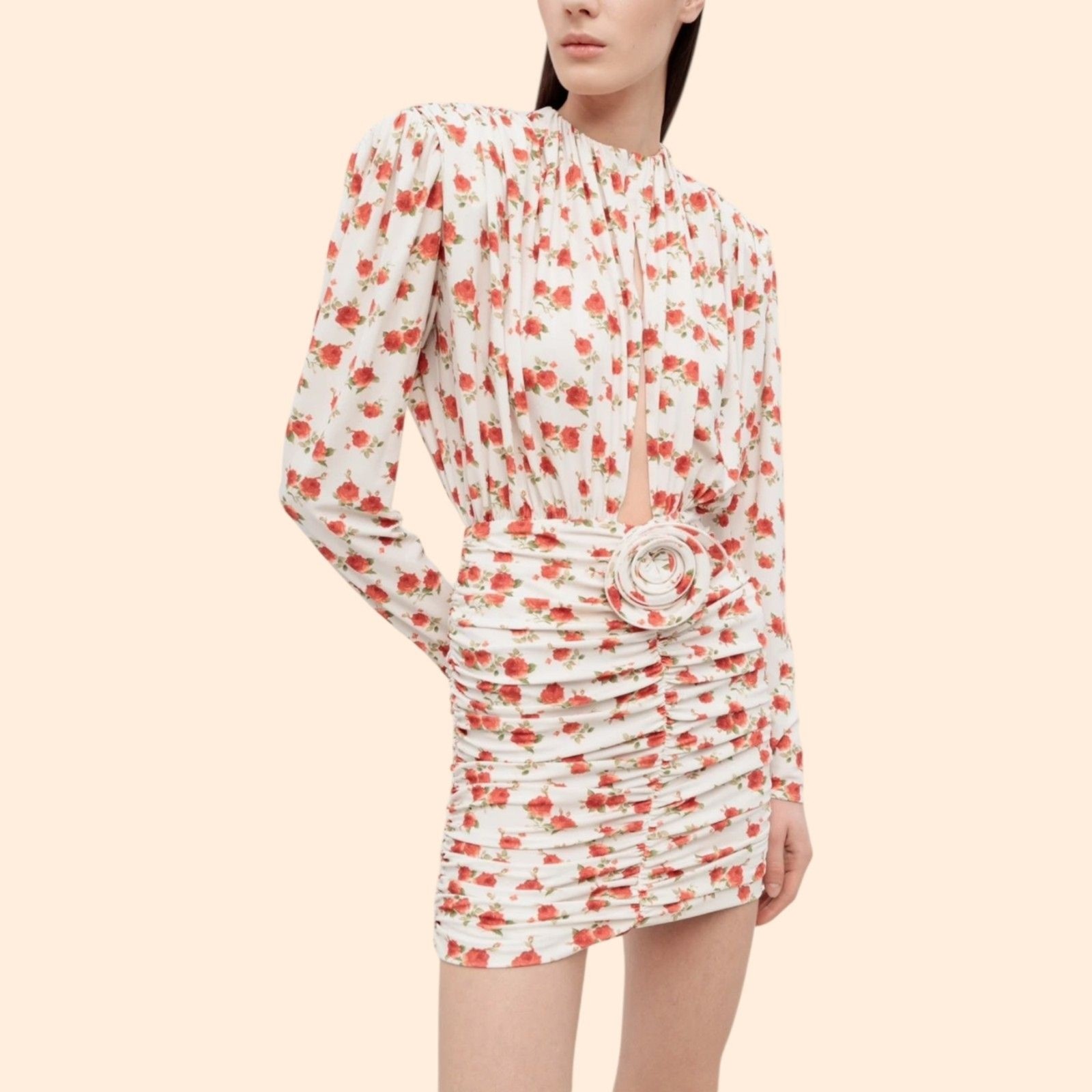 Magda Butrym Ruched Printed Rose Mini Dress