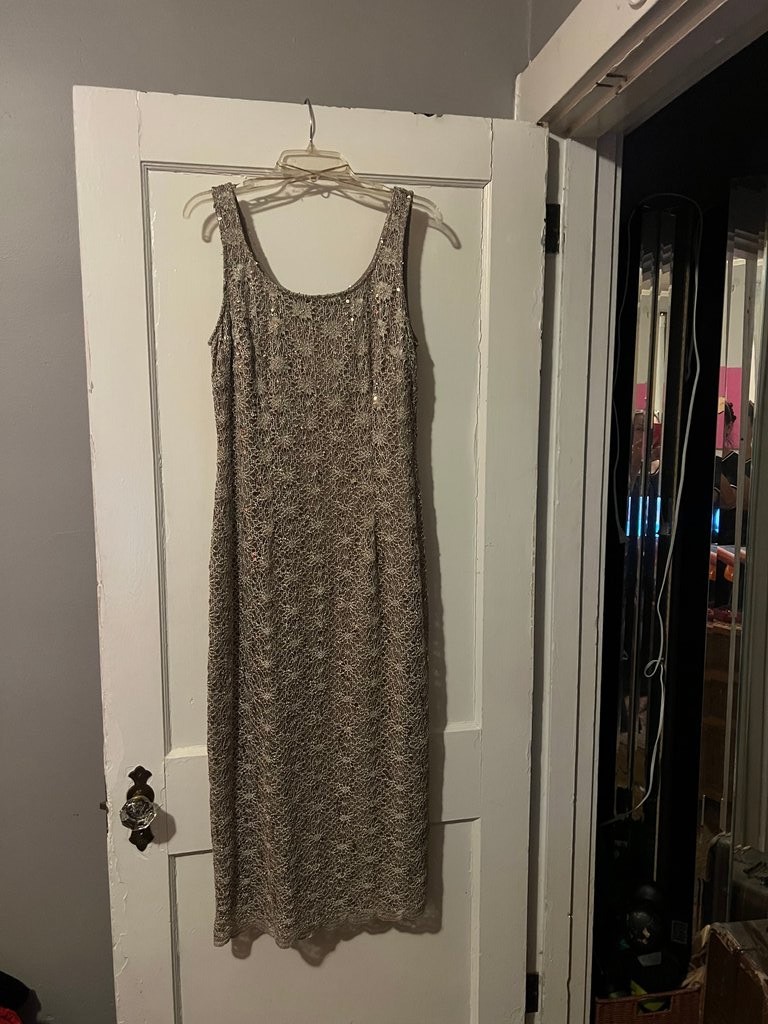 R&M Richards Sleeveless Lace Sequin Dress