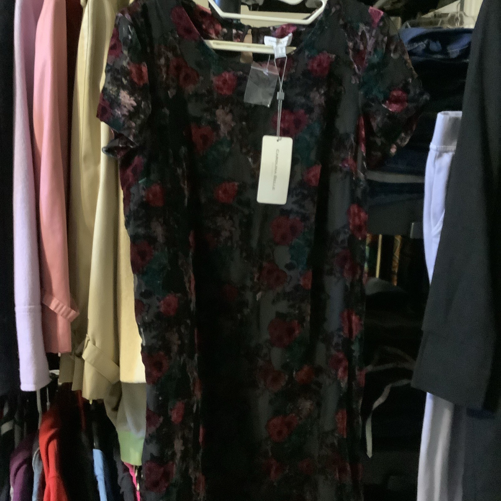 Carolina Belle‎ Black Floral Velvet Burnout Shift Dress US 6 EU 36 Party Holiday