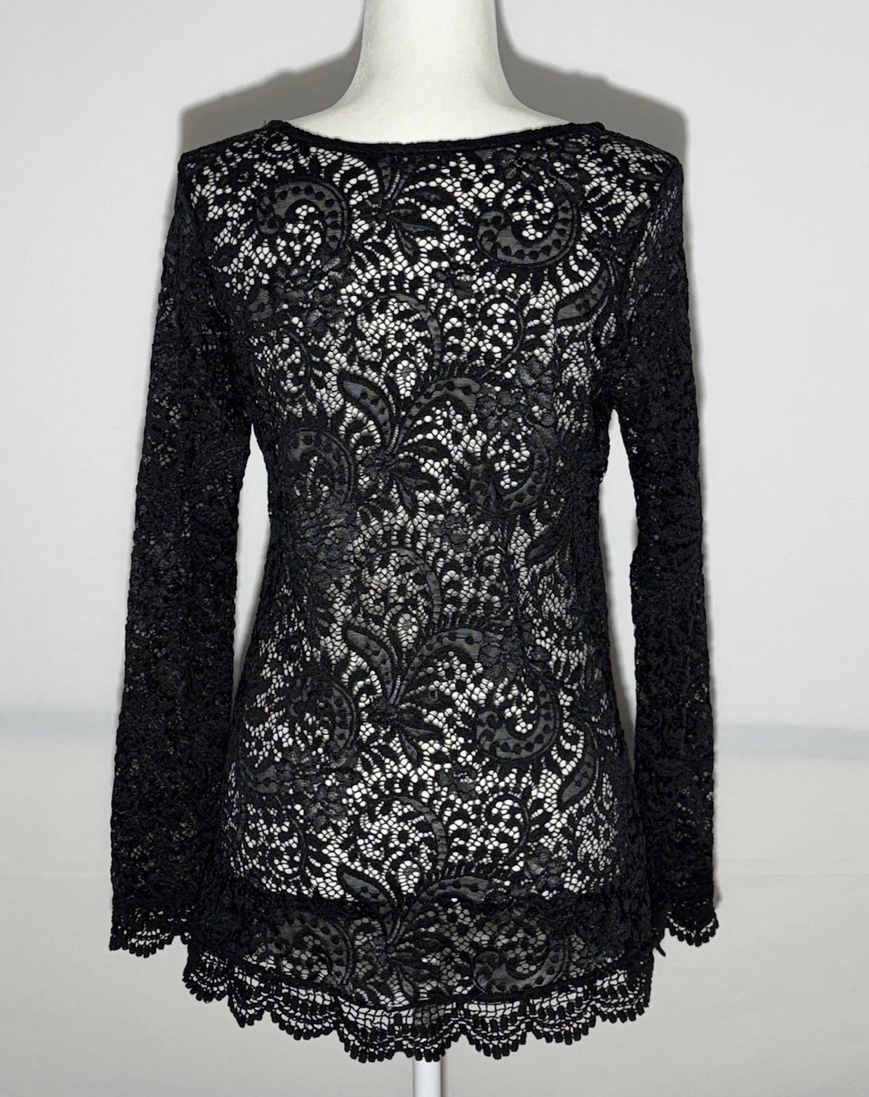 You Are Not Alone Black Lace Long Sleeve Sheer Dress, Coverup or Tunic Top Sz L