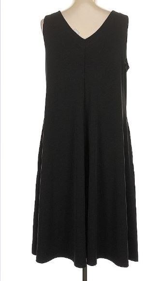 Chico’s Black Sleeveless Dress size 2 us L 12