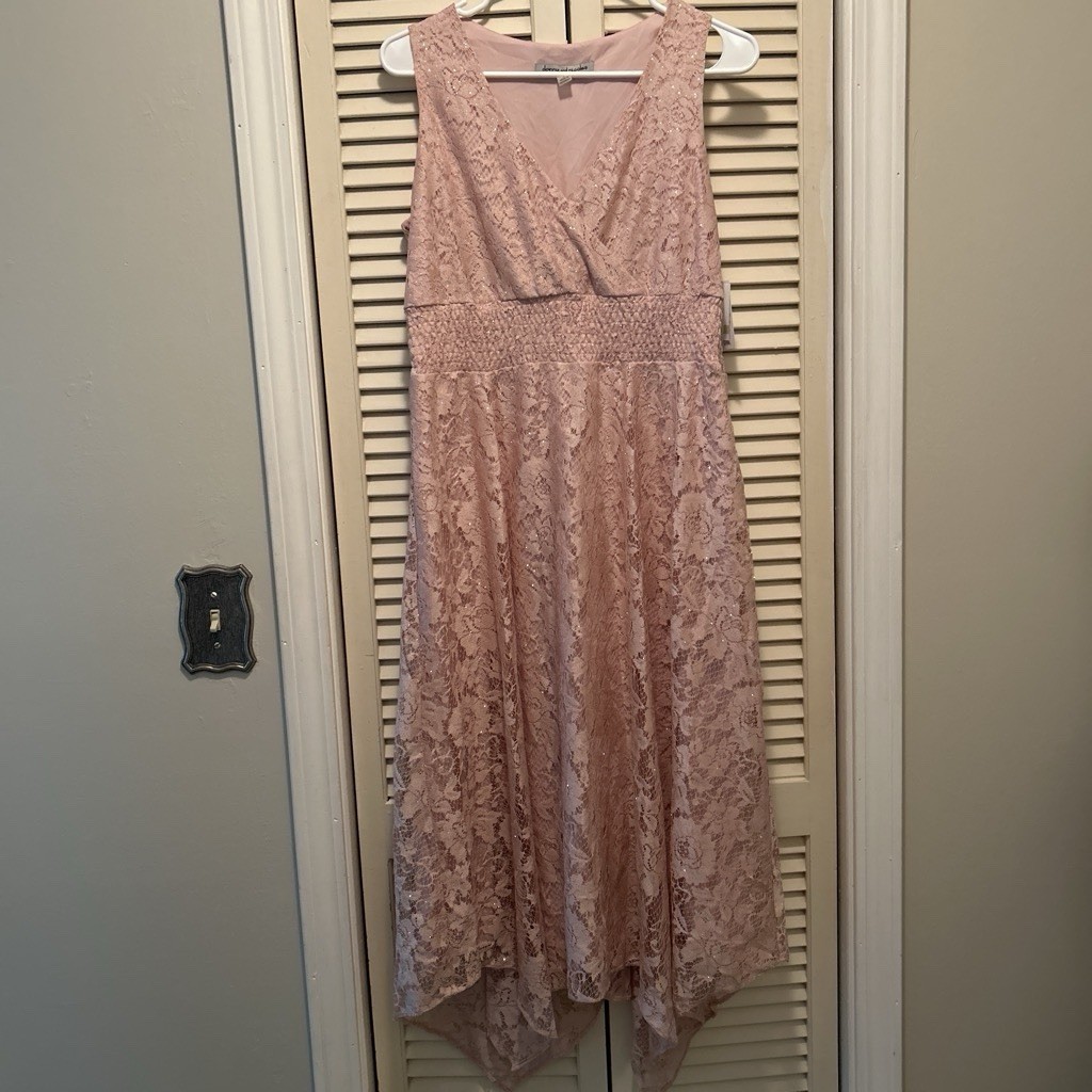 Danny & Nicole Rose Lace Floral Midi Dress V-Neck Sleeveless A-Line Size 4