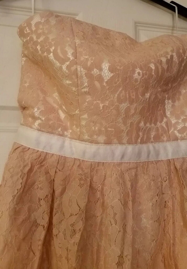 Strapless Beige Lace Ivory Lined Fairy Party Cocktail Dress Modcloth Alythea