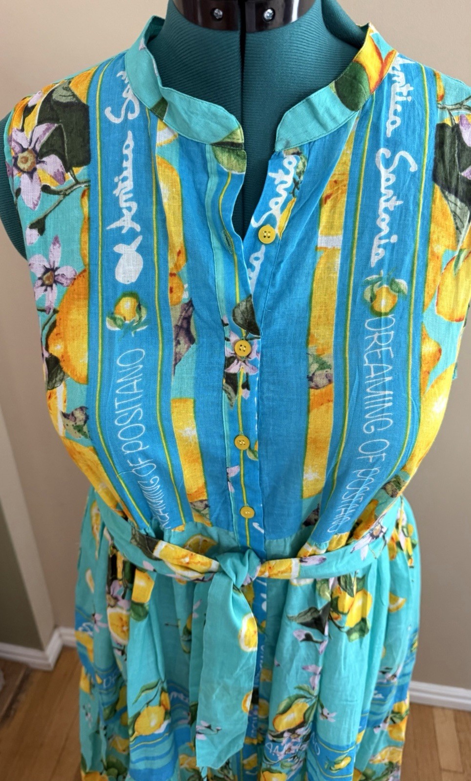 Antica Sartoria Positano 2026 Aqua Lemon Print Sleeveless Maxi Dress L/XL NWT