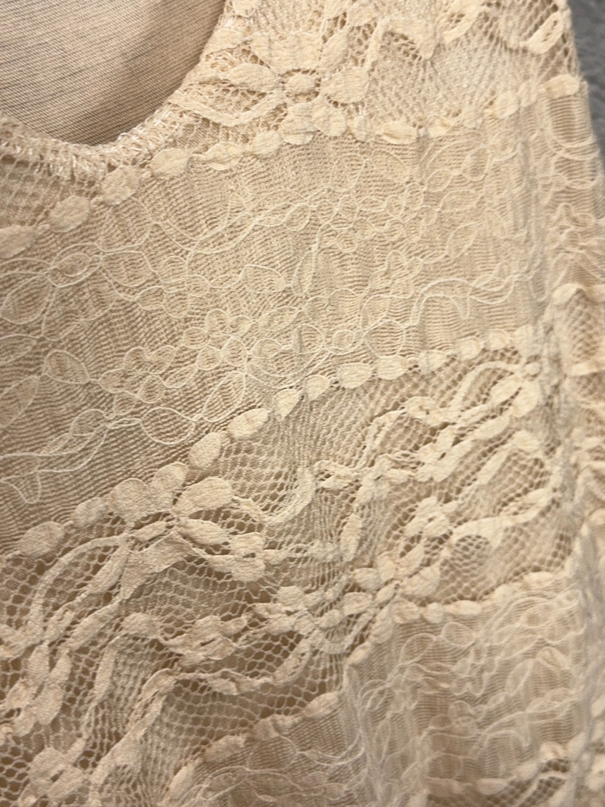 Painted Threads Fit & Flare Lace Overlay Dress S Fairy Cottage Dainty Feminine