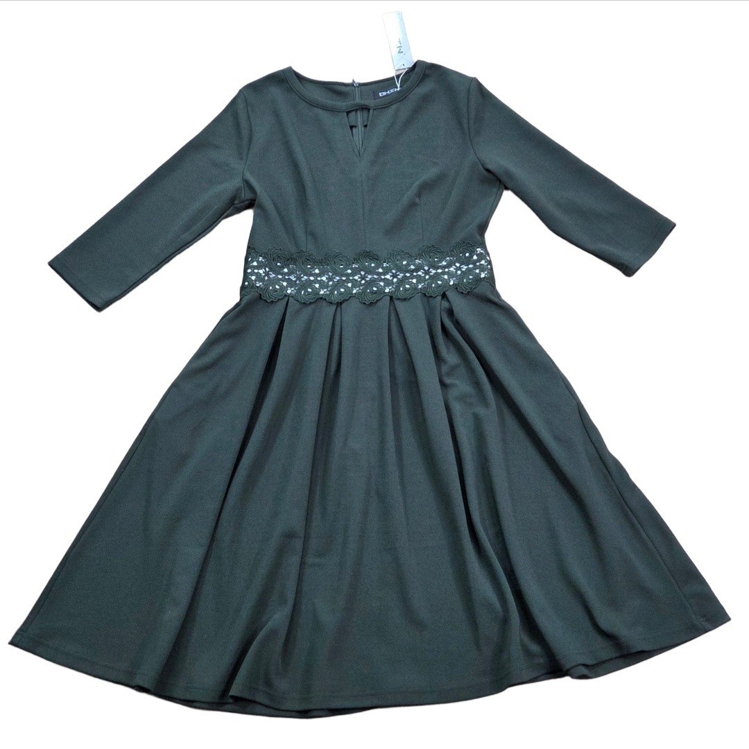 Owin Green Floral Lace Flared A-Line Swing Dress Womens Size Large New NWT