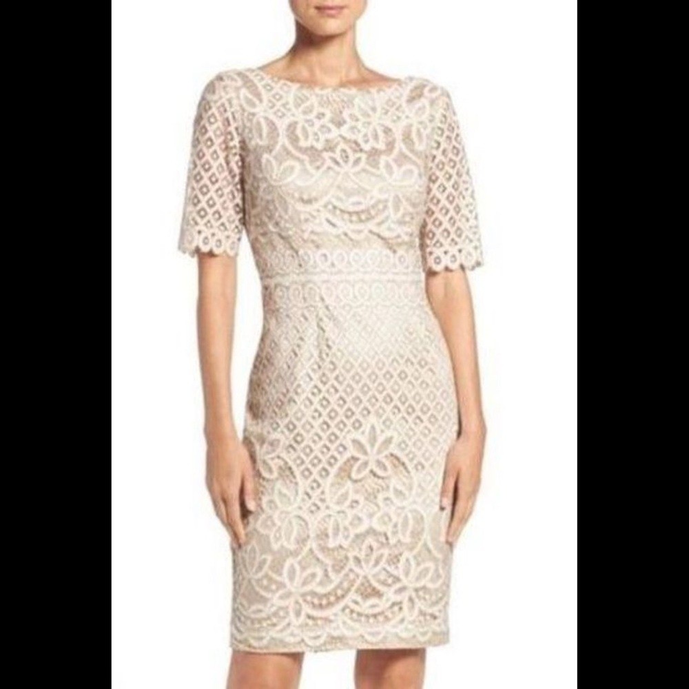 Eliza J Nude Ivory Lace Embroidery Sheath Dress