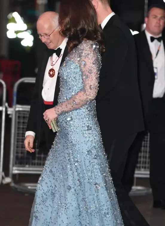 Kate Middleton Style Illusion Long Sleeve Beaded Tulle Formal Evening Party Gown