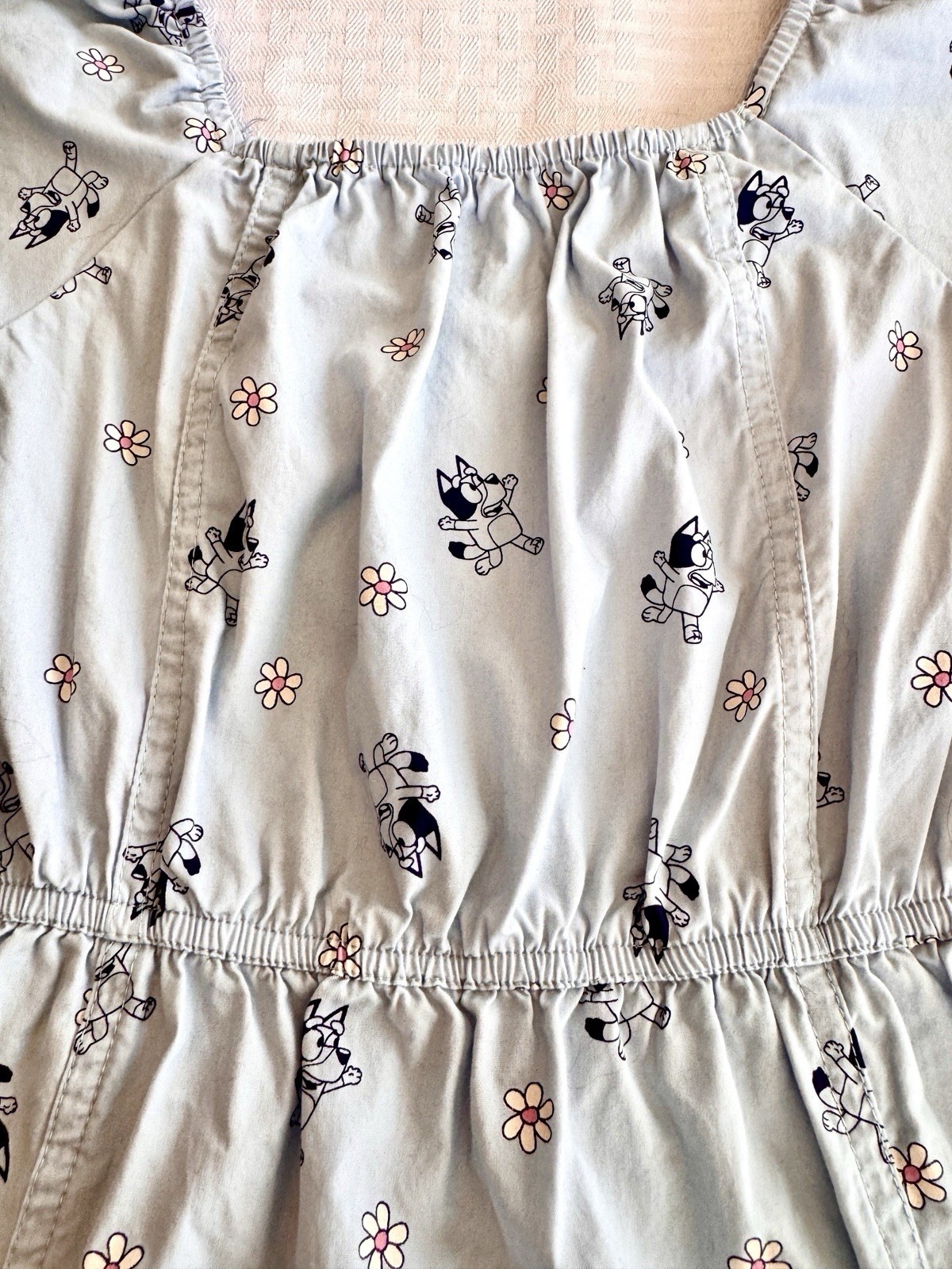 Bluey Puff Sleeve Cotton Dress Light Blue Floral Character Print Womens Large