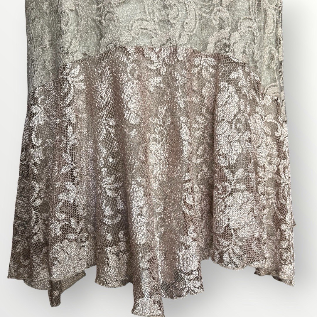 VTG Spencer Alexis Full Lace Metallic Romance Whimsy Silk Blend Formal Gown 2XLP
