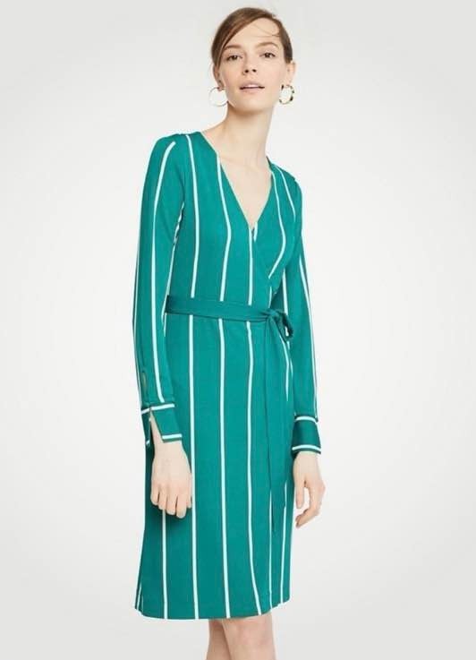 Ann Taylor Green Striped Wrap Dress (6)