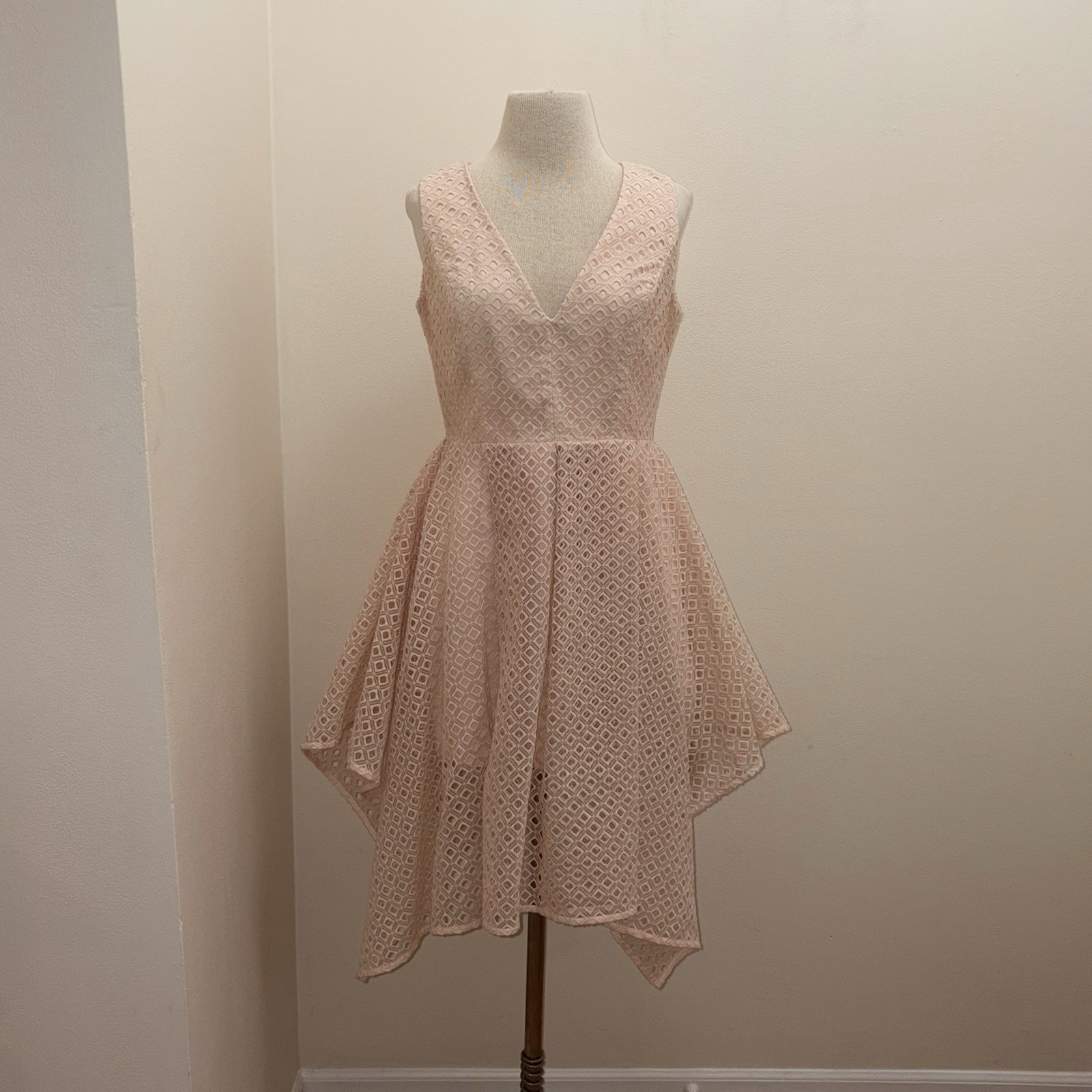 Keepsake The Label $275 Last Dance Eyelet In Soft Peach A Line Dress Size Large
