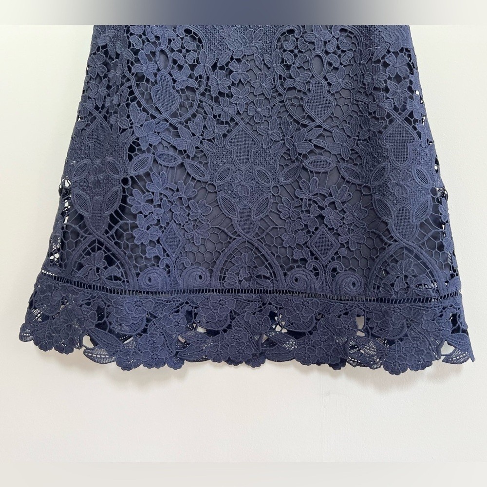 Ted Baker Primrose Sleeveless Lace A-Line Dress in Navy Blue, size 0