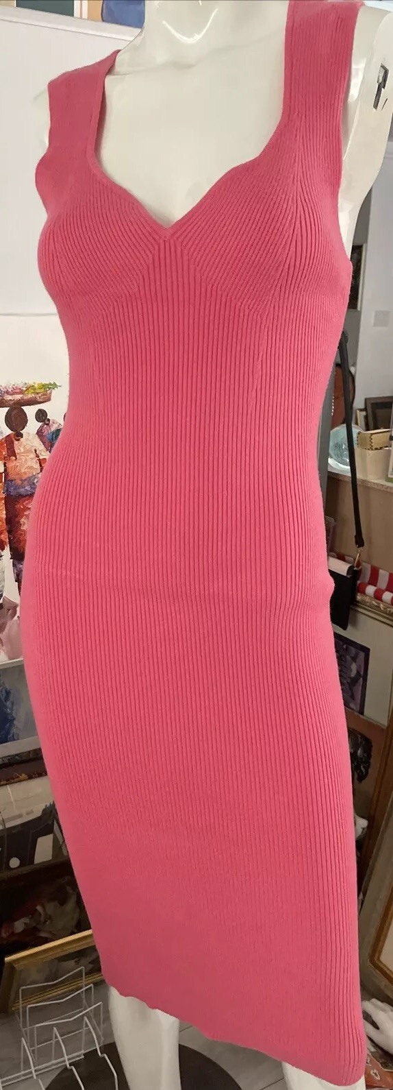 NWT Wind and Willow Bodycon Knit Stylish Dress Size Large Pink