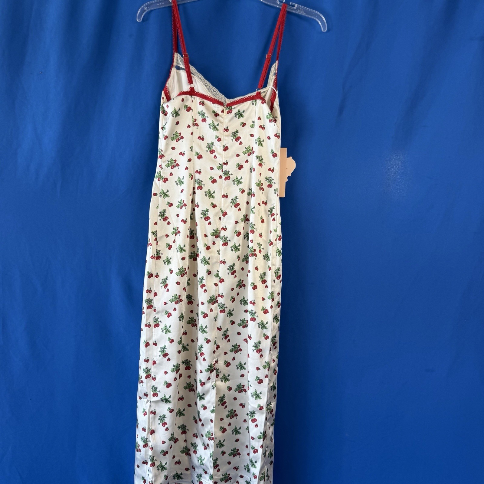 This LaceMade Strawberry Farm dress Size XS