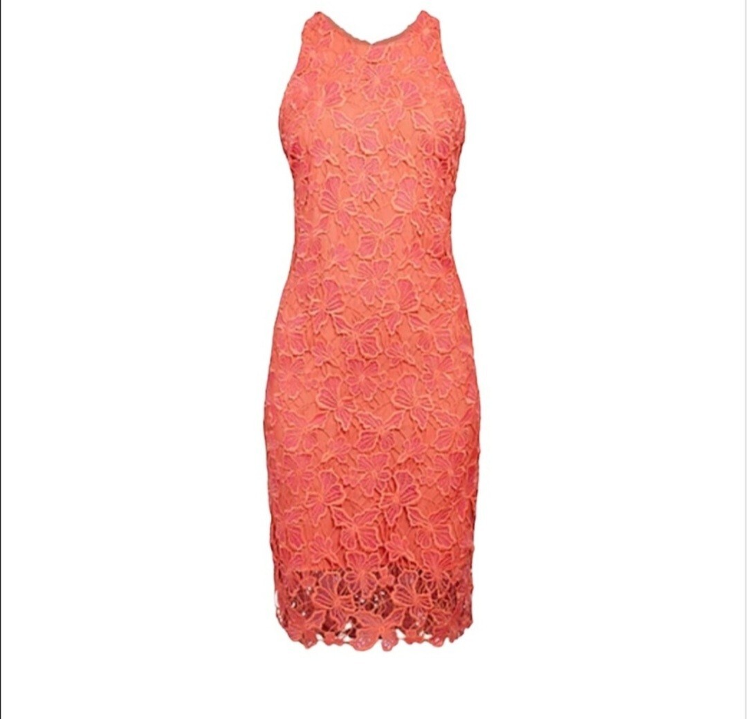 Alexia Admor dress Pink And Peach Sleeveless lace midi size 6