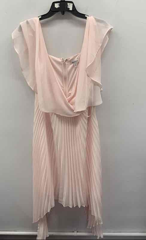 kensie Women’s Pale Pink Pleated Handkerchief Hem Ruffle Sleeve Dress NWT Sz 12