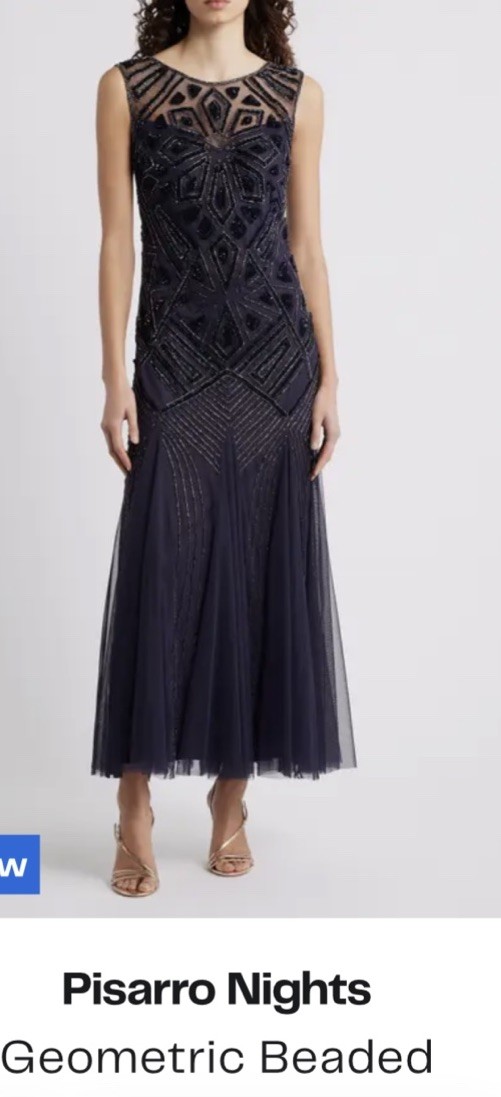 Pisarro Nights Geometric Beaded Mesh Sleeveless Gown Size 20 New Plum