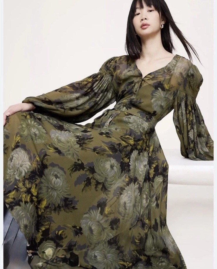 Banana Republic Georgette Puff Sleeve Maxi Dress Size Small NWT RT$260