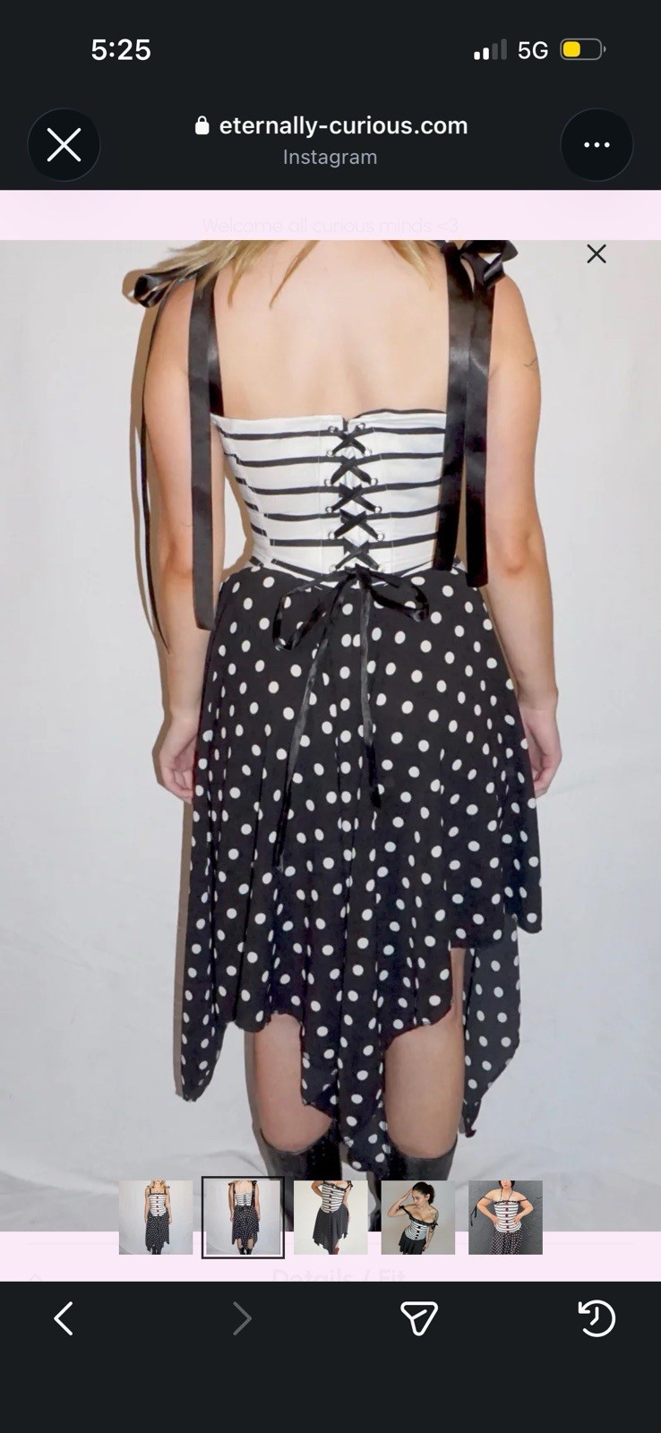 Eternally Curious Charlottes Web Polka Dot Corset Dress Women’s Size Medium M