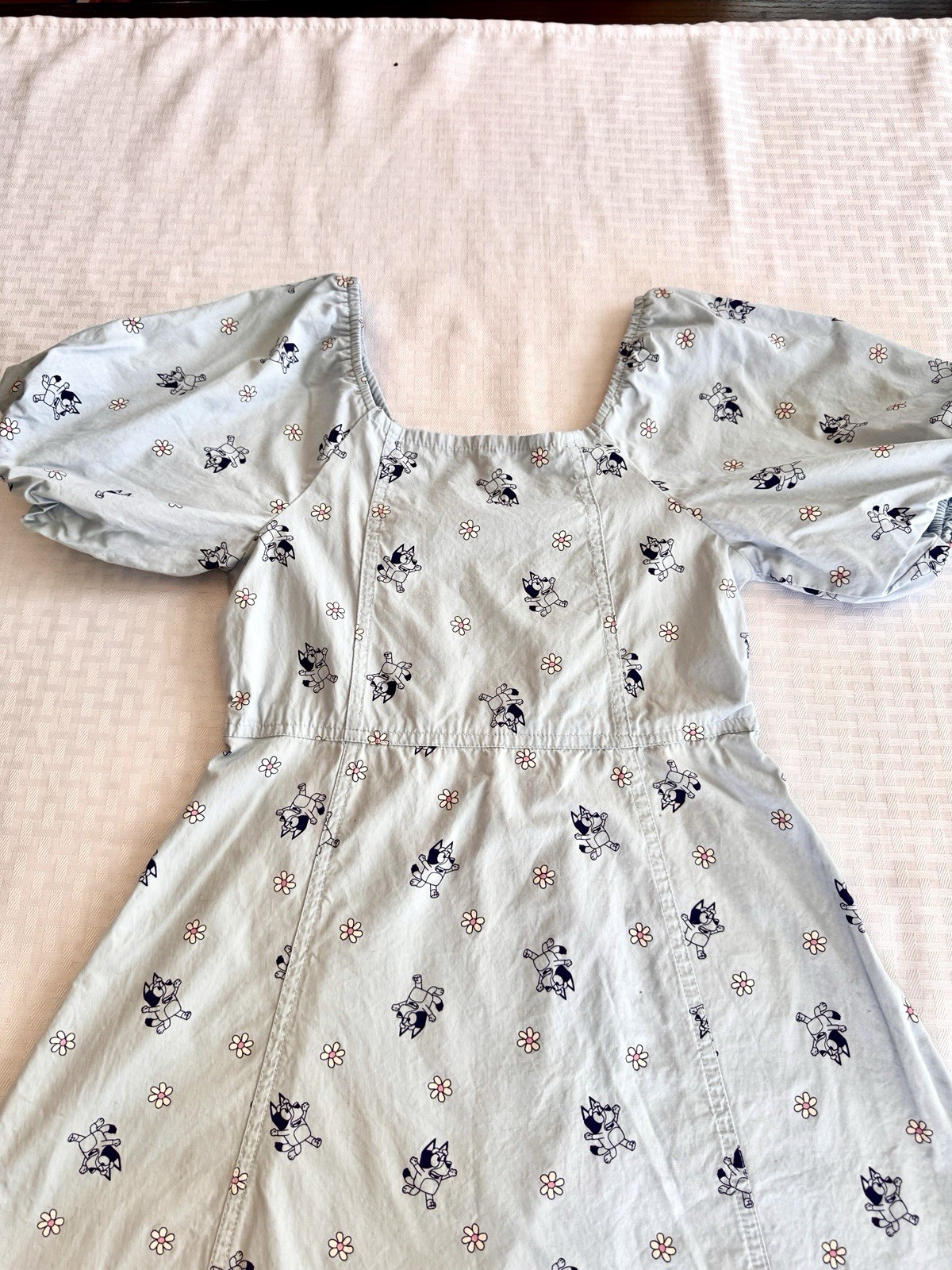 Bluey Puff Sleeve Cotton Dress Light Blue Floral Character Print Womens Large