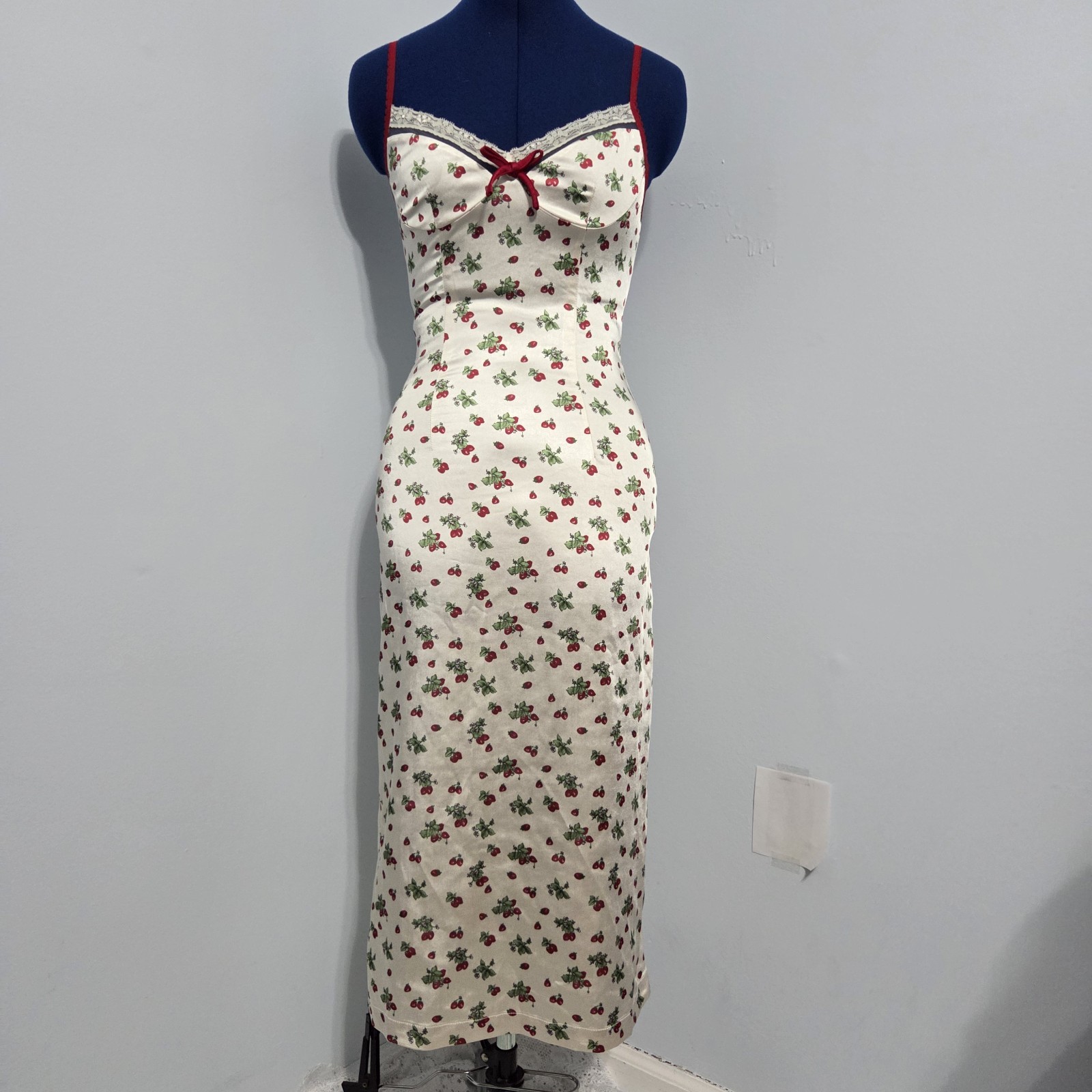 Lacemade Strawberry Farm Slip Dress Size XS