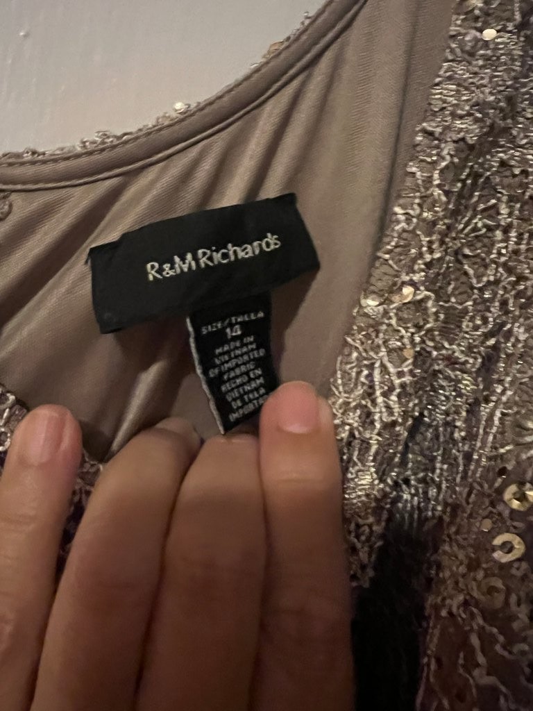 R&M Richards Sleeveless Lace Sequin Dress