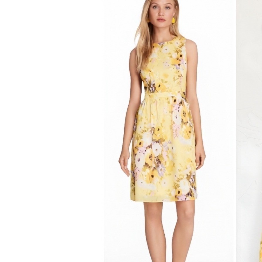 Brooks Brothers Red Fleece Yellow Floral Cotton Fit and Flare Dress Womens 8