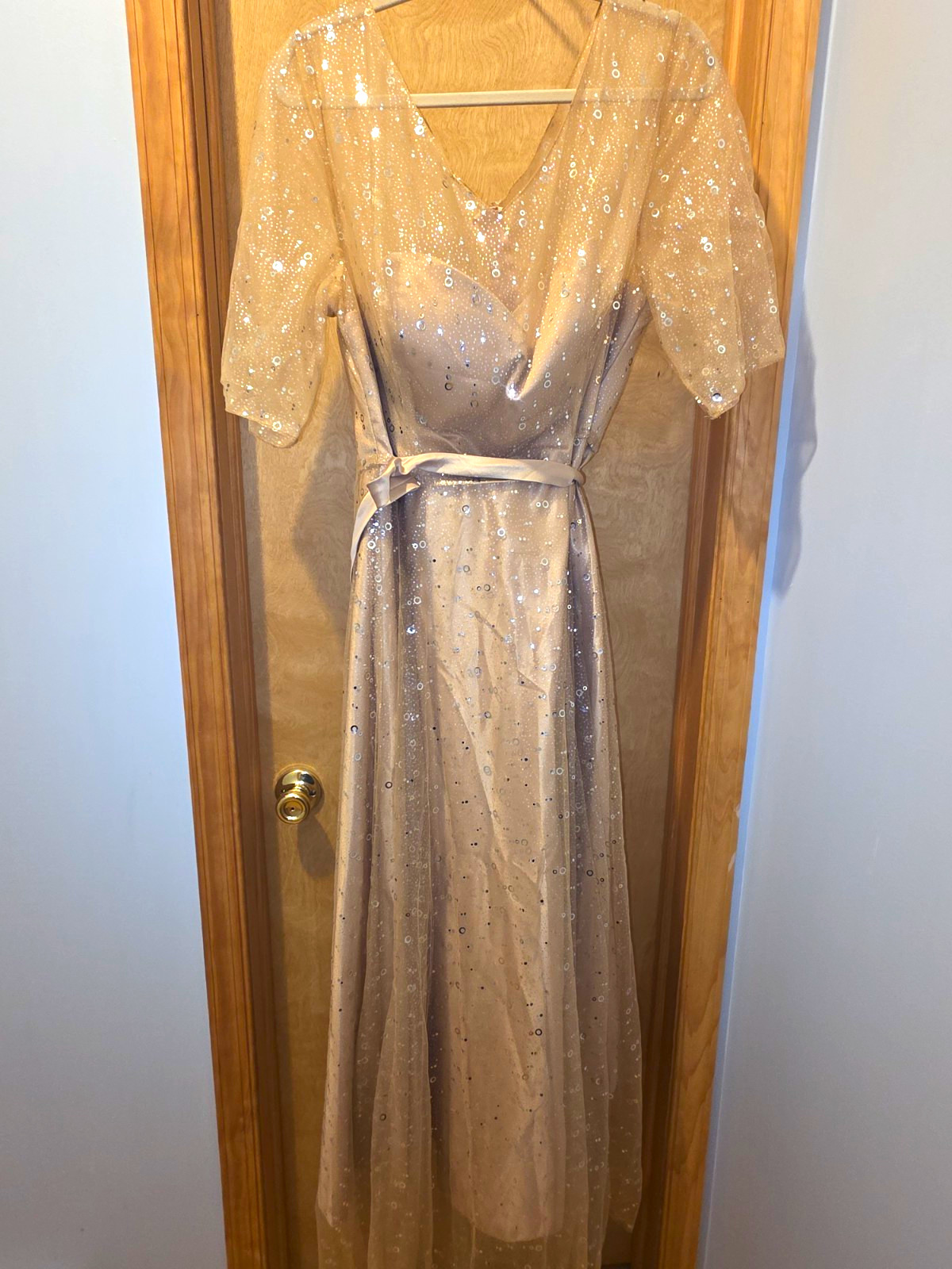 SHEIN CURVE Champagne Sequin Mesh Sweetheart Neck Short Sleeve Gown 3XL Belted
