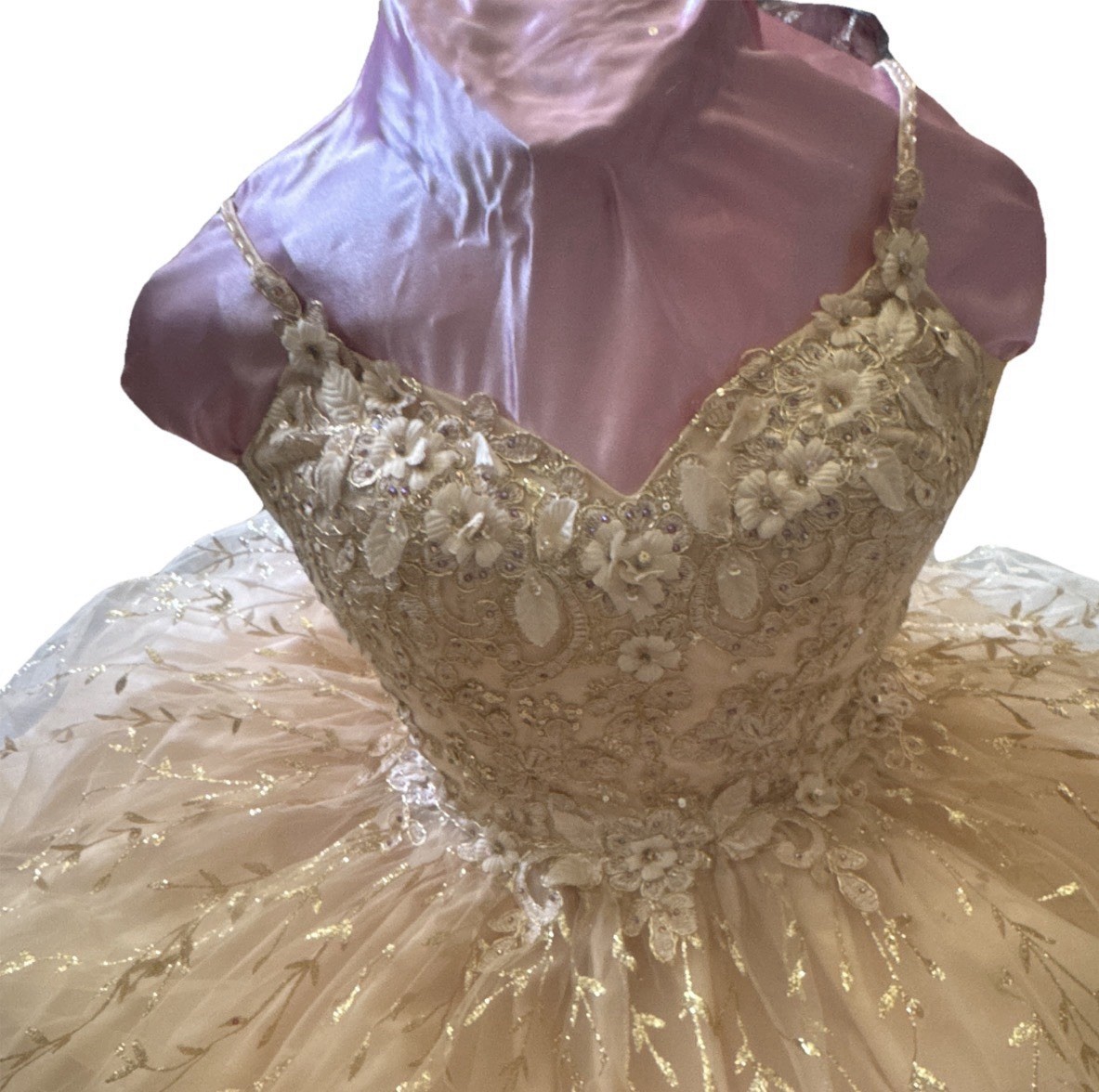 Dancing Queen Ivory/Gold Beaded Sequin Sweetheart Tulle A-Line Short Dress L