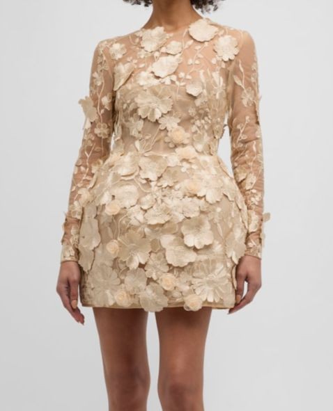 Bronx & Banco Women’s Gold Bouquet Maraya Embroidered Illusion Mini Dress Size 4