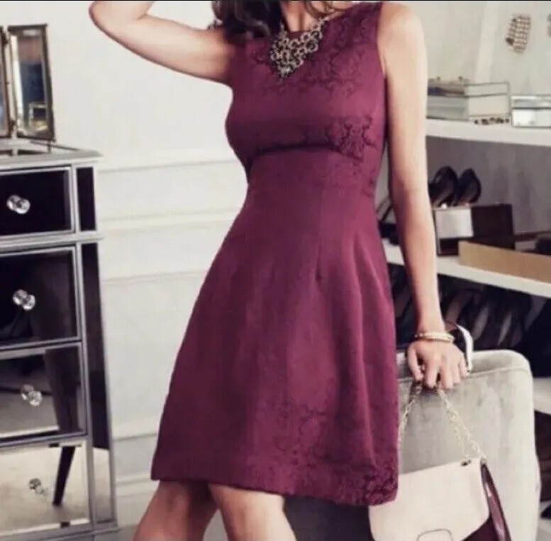 Eva Mendes 20 Damask Fit Flare Dress Sleeveless Pleated Zip Up Cotton Burgundy