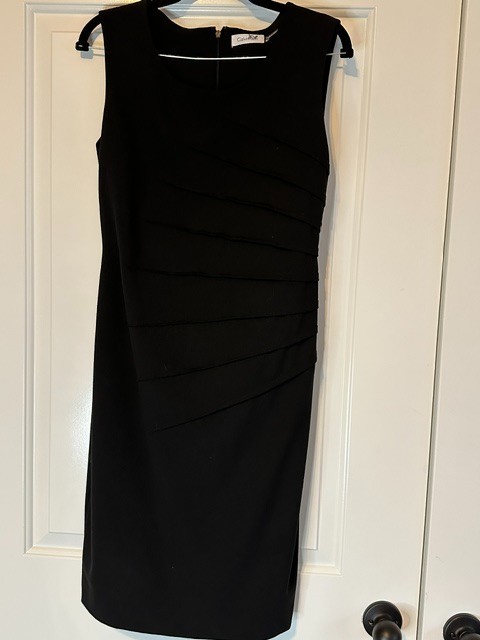Calvin Klein Sleeveless Banded Sheath Dress | Size 6 | Little Black Dress