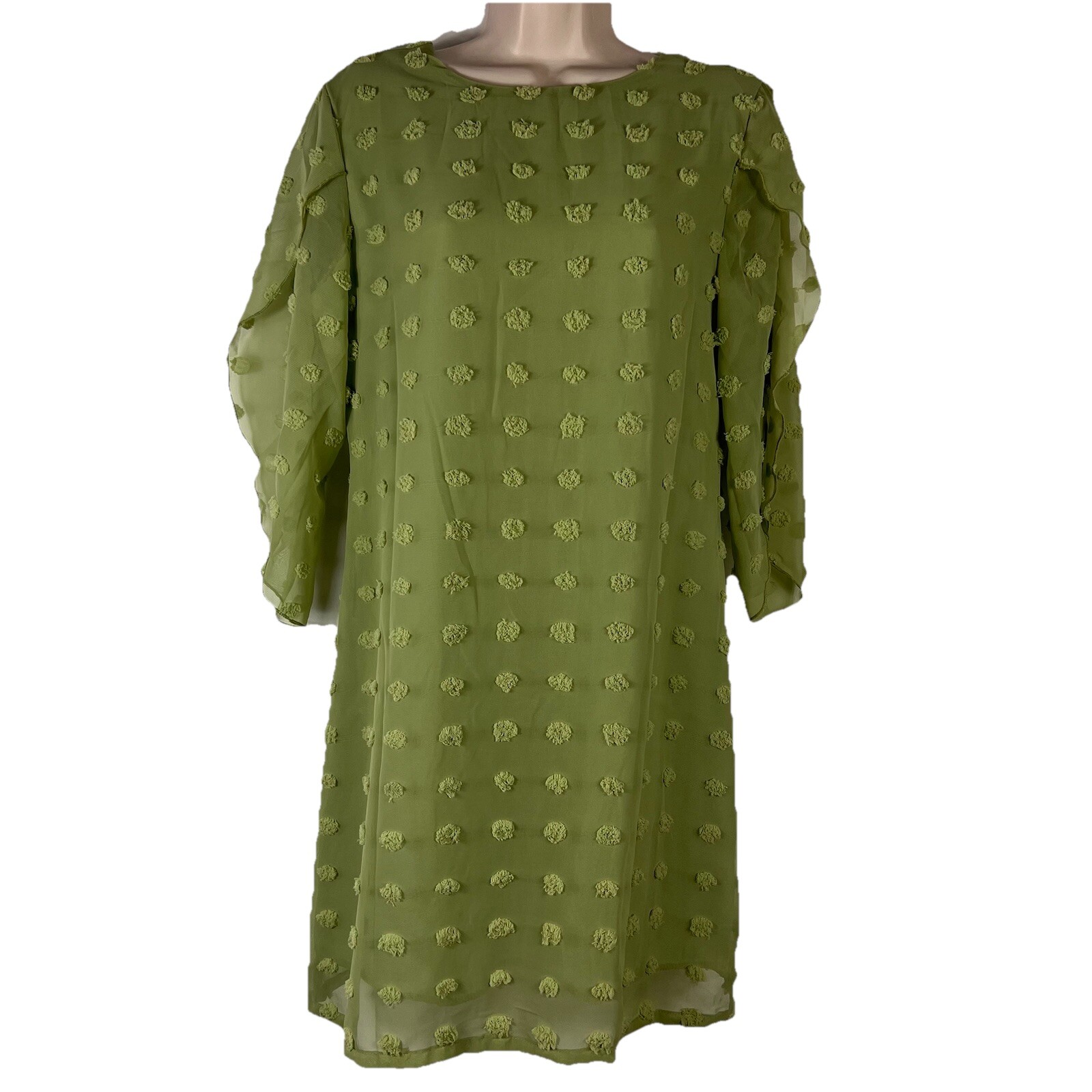 Belongsci Shift Dress Women’s Small 3/4 Sleeve Above Knee V Neck Green Swiss Dot