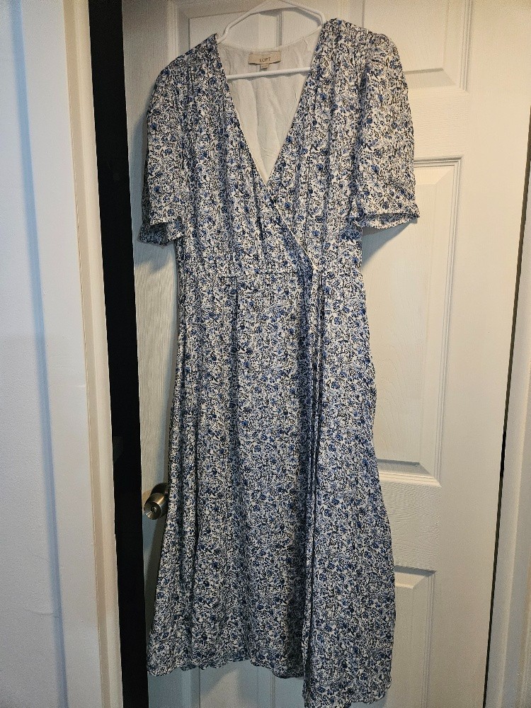 Loft Blue and White Dress