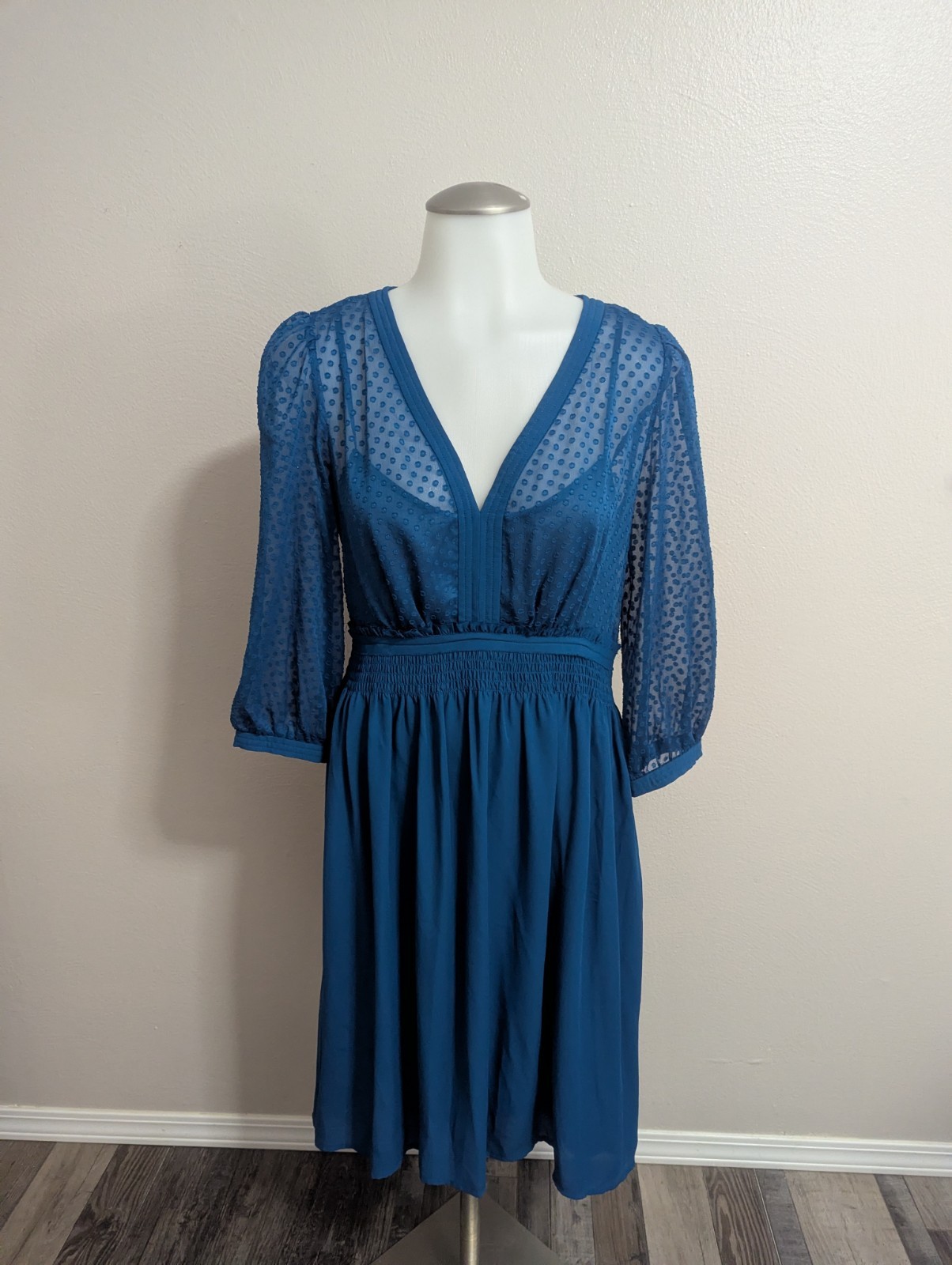NWT Anthropologie HD in Paris Blue Swiss Dot Dress Size 6