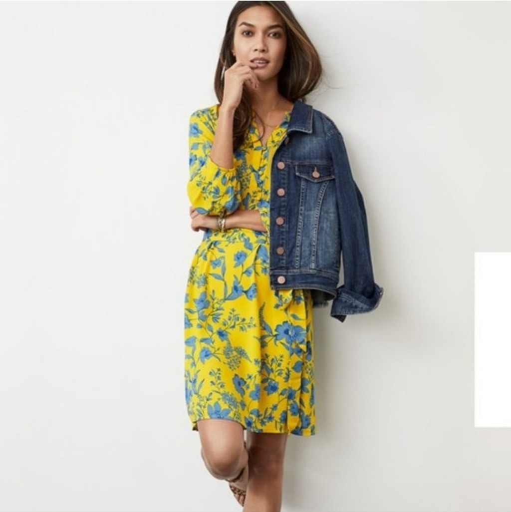 NWOT Cabi Yellow & Blue Lemon Drop Knee Length Dress Women’s XS