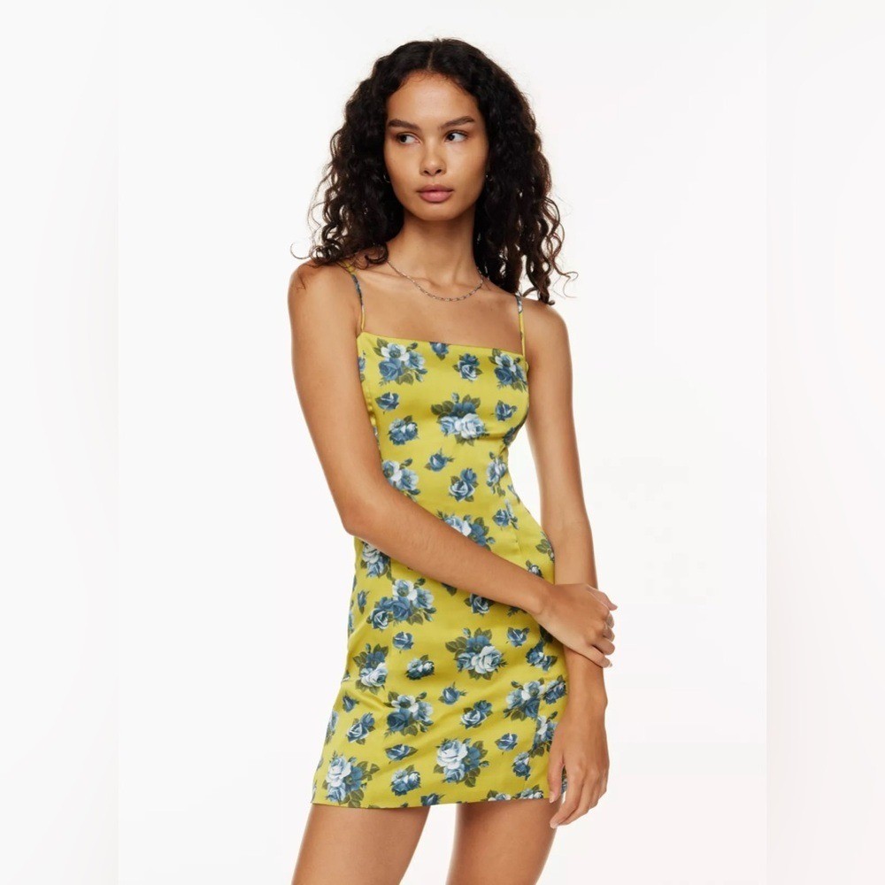 Aritzia Sunday Best Floral Print Satin Shimmer Mini Dress Size 2 y2k