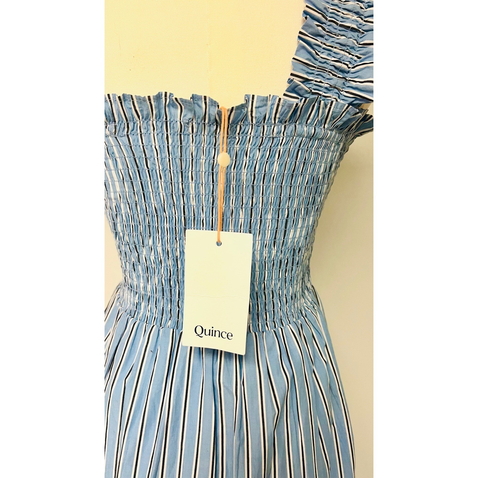 Quince Blue Tribeca Stripe Organic Cotton Poplin Smocked Midi Dress XS NWT