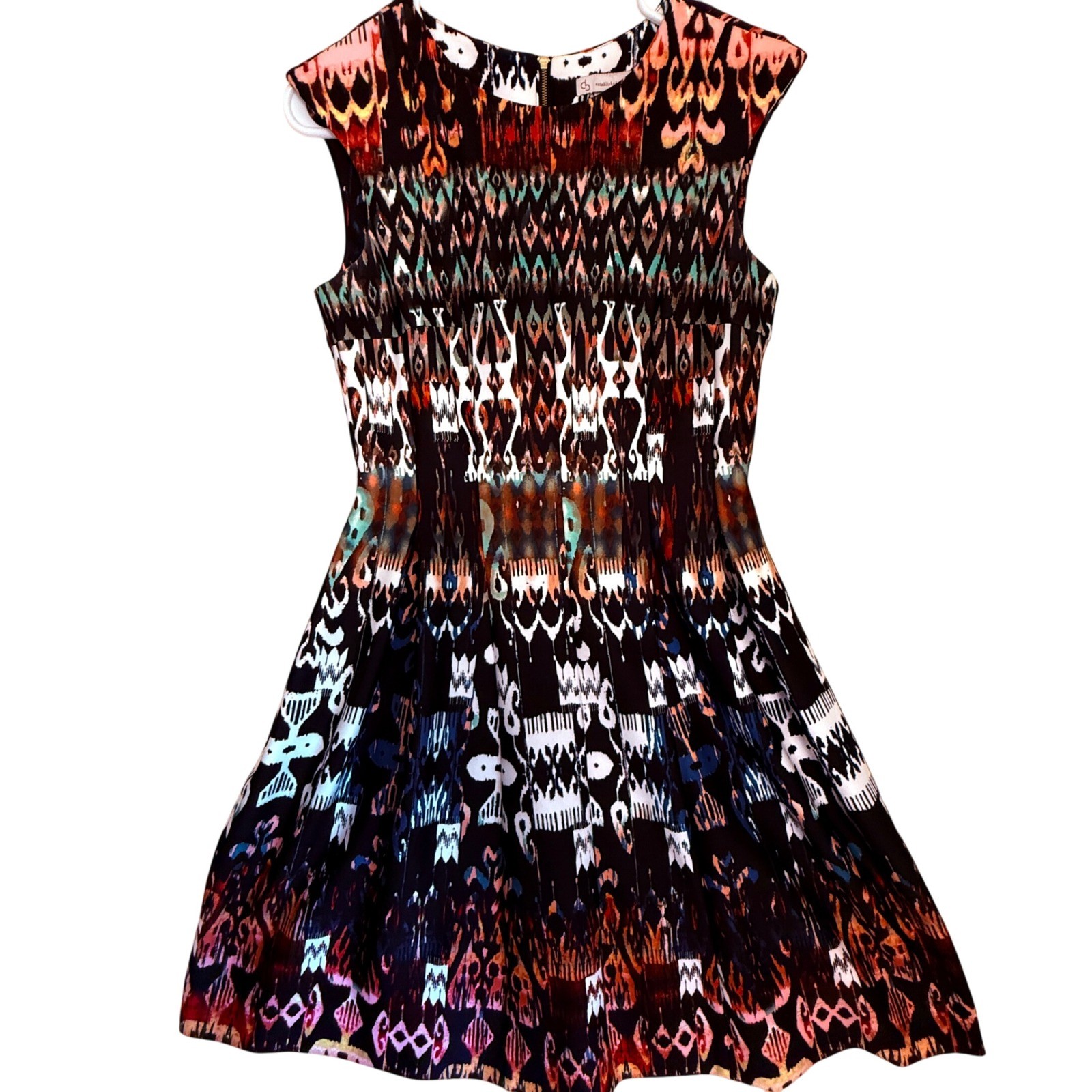 db established 1962 Women’s Sleeveless Fit & Flare Printed Dress
