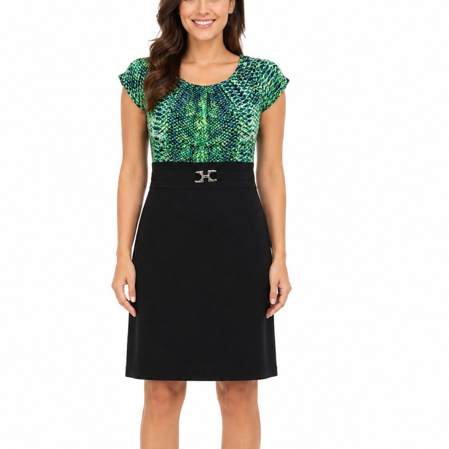 Alyx Limited Womens Size 6 Green Blue Print Short Sleeve Belted Sheath Dress