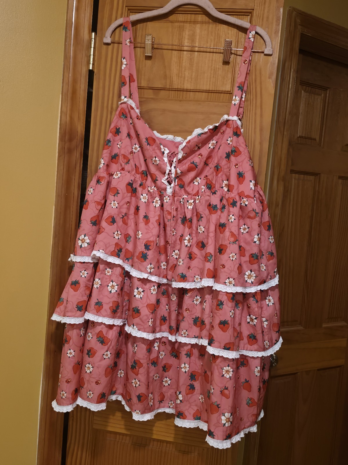 Dolls Kill X Strawberry Shortcake Floral Dress It’s a berry world Plus Sz 3x