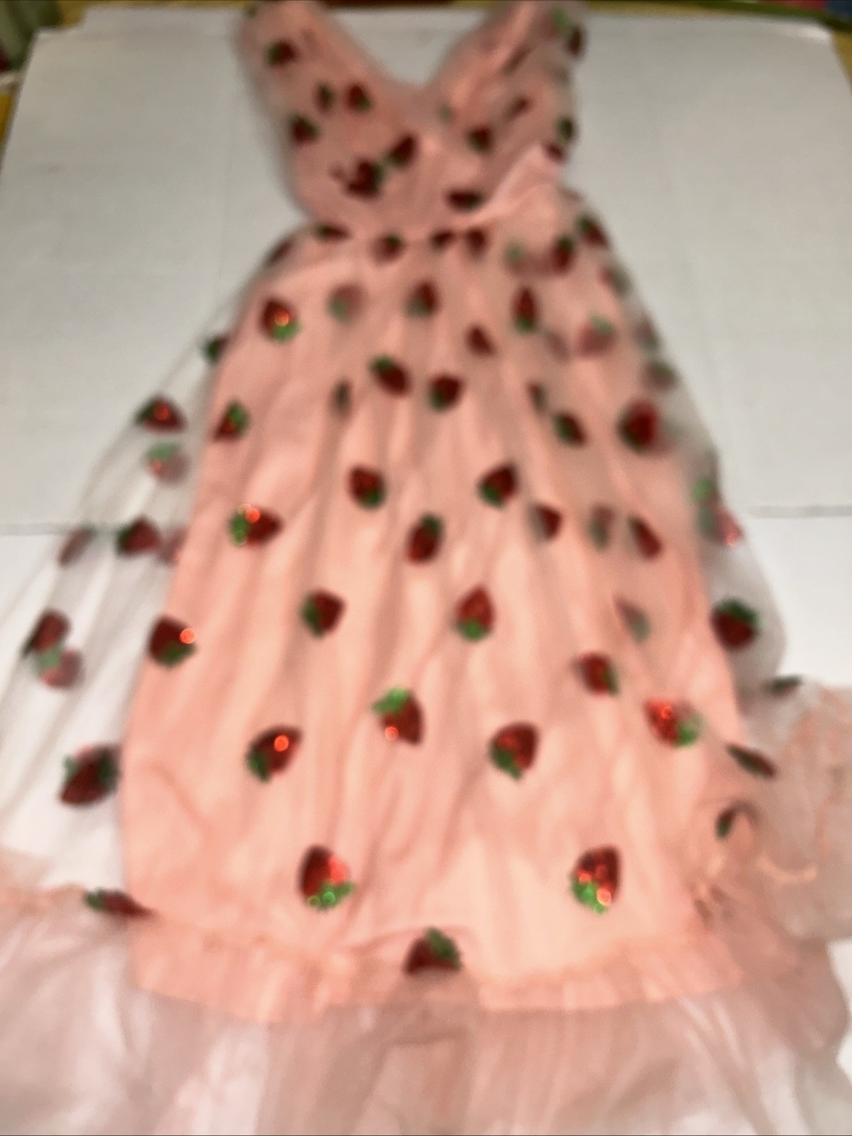 Strawberry Sequin Tulle Maxi Spring Pink Dress Retro Dress Size XL Fairy