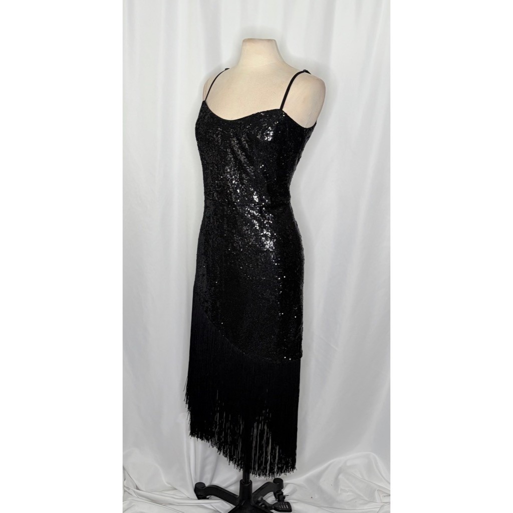 DRESS THE POPULATION Rosella Sequins Tassel Fringe Hem Dress Party X-Large