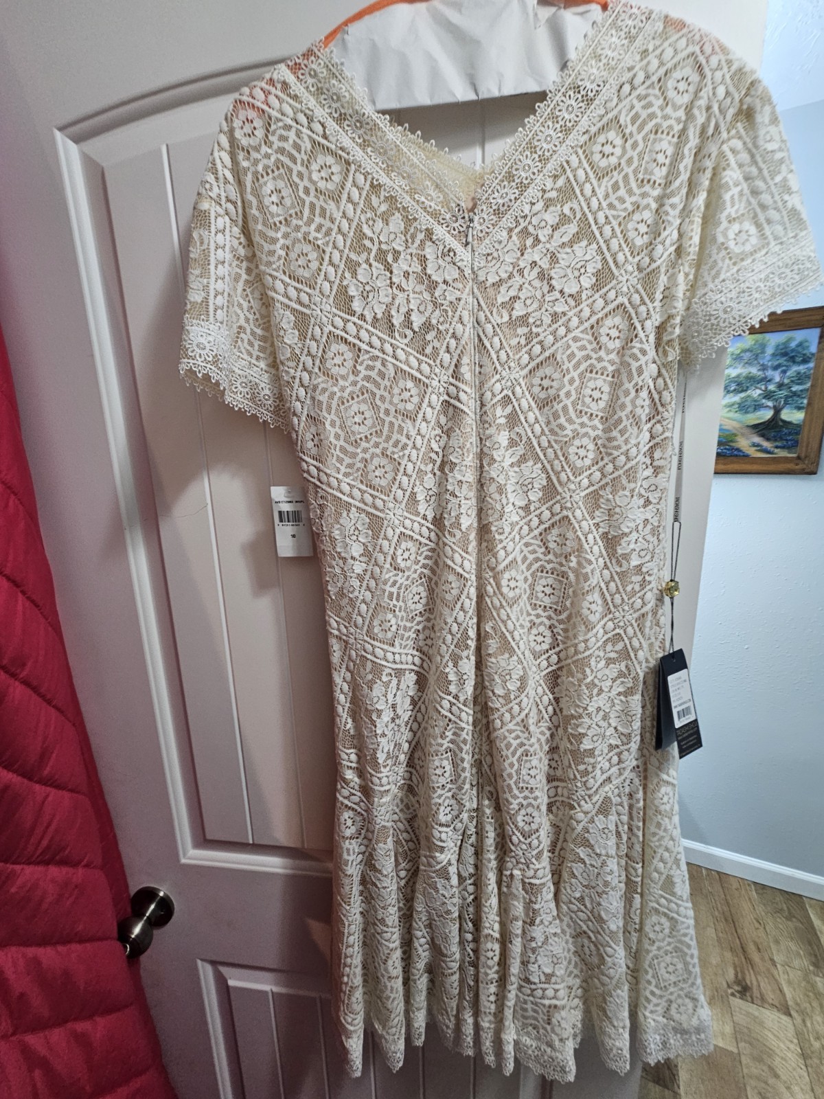 Brand New Elegant Ivory Lace Size 10 dress. Tadashi Shoji. Stunning Dress.