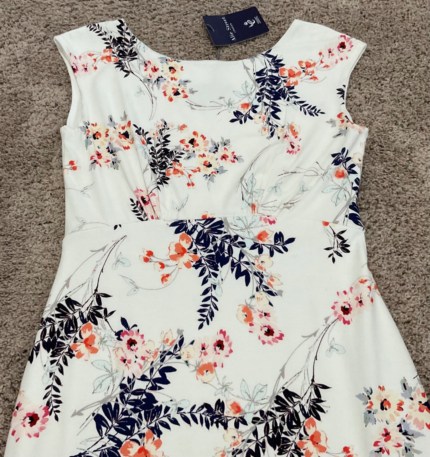 ALIE STREET Pippa Shift Dress US Size 4-6 Floral “Japanese Garden”
