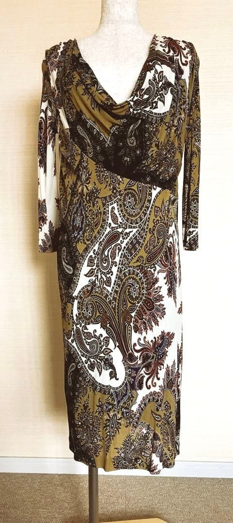 ETRO long sleeve dress size 40 length 39 inches