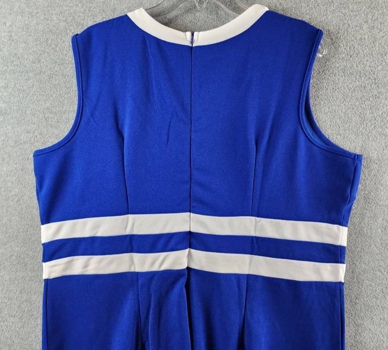 Ny Collection Plus Size Colorblocked Dress Women’s 18W Sapphire White Sleeveless